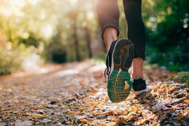 Exploring the Cognitive Benefits of Spending Time in Nature